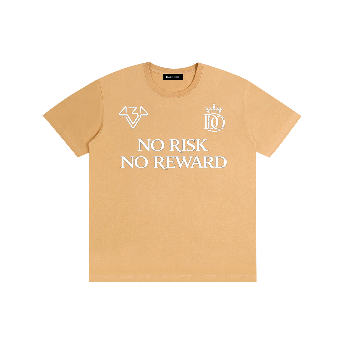 NO RISK NO REWARD T SHIRT